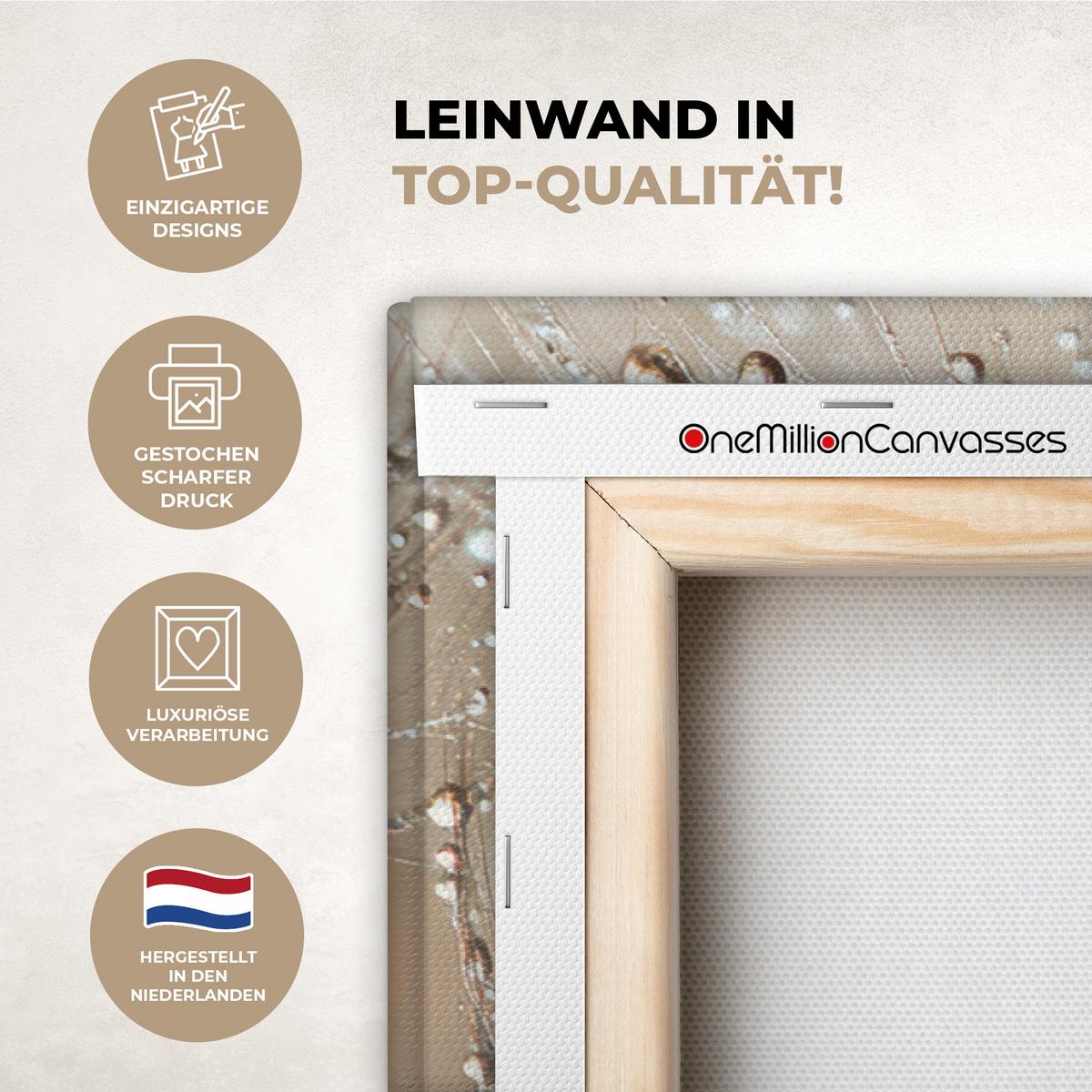 LEINWANDBILD Löwenzahn - Abstrakt - Natur - Beige Groß 140x90 cm - Braun, Textil (140/90cm) - MuchoWow