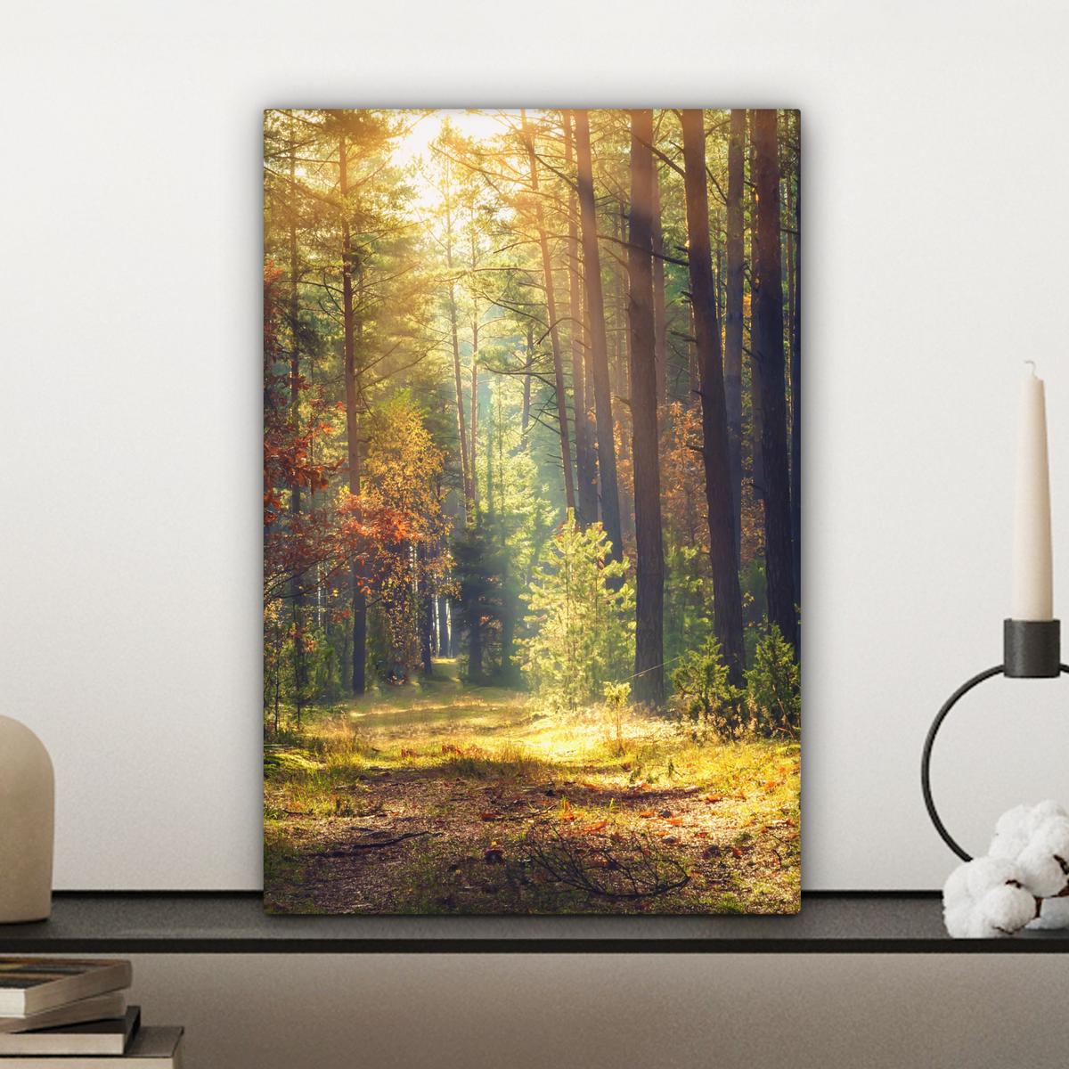 LEINWANDBILD Wald - Herbst - Bäume Deko Wohnzimmer 20x30 cm - Dunkelgrün, Textil (20/30cm) - MuchoWow