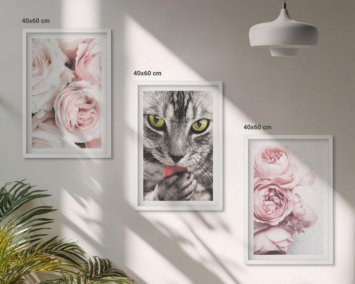 BILDER SET 3er Set - 40x60 cm Weißer Rahmen - Katze in rosa Blumen - Weiß, Kunststoff (40/60cm) - TULUP