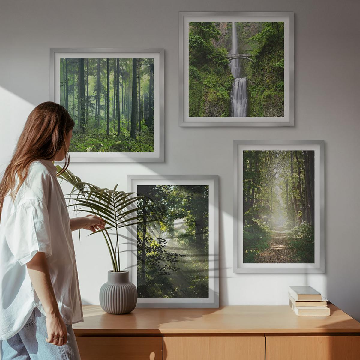 BILDER SET 4er Set - 50x50 cm & 40x60 cm Silberner Rahmen - Grüne Wälder, Lichtstrahlen - Silberfarben, Kunststoff (50/50cm) - TULUP