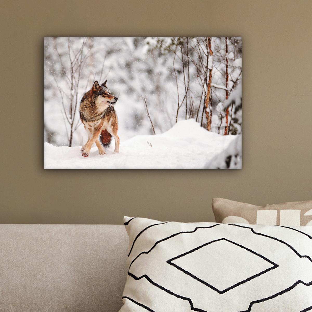 LEINWANDBILD Wolf - Winter - Schnee - Natur - Tiere Deko Schlafzimmer 30x20 cm - Haselnussfarben, Textil (30/20cm) - MuchoWow