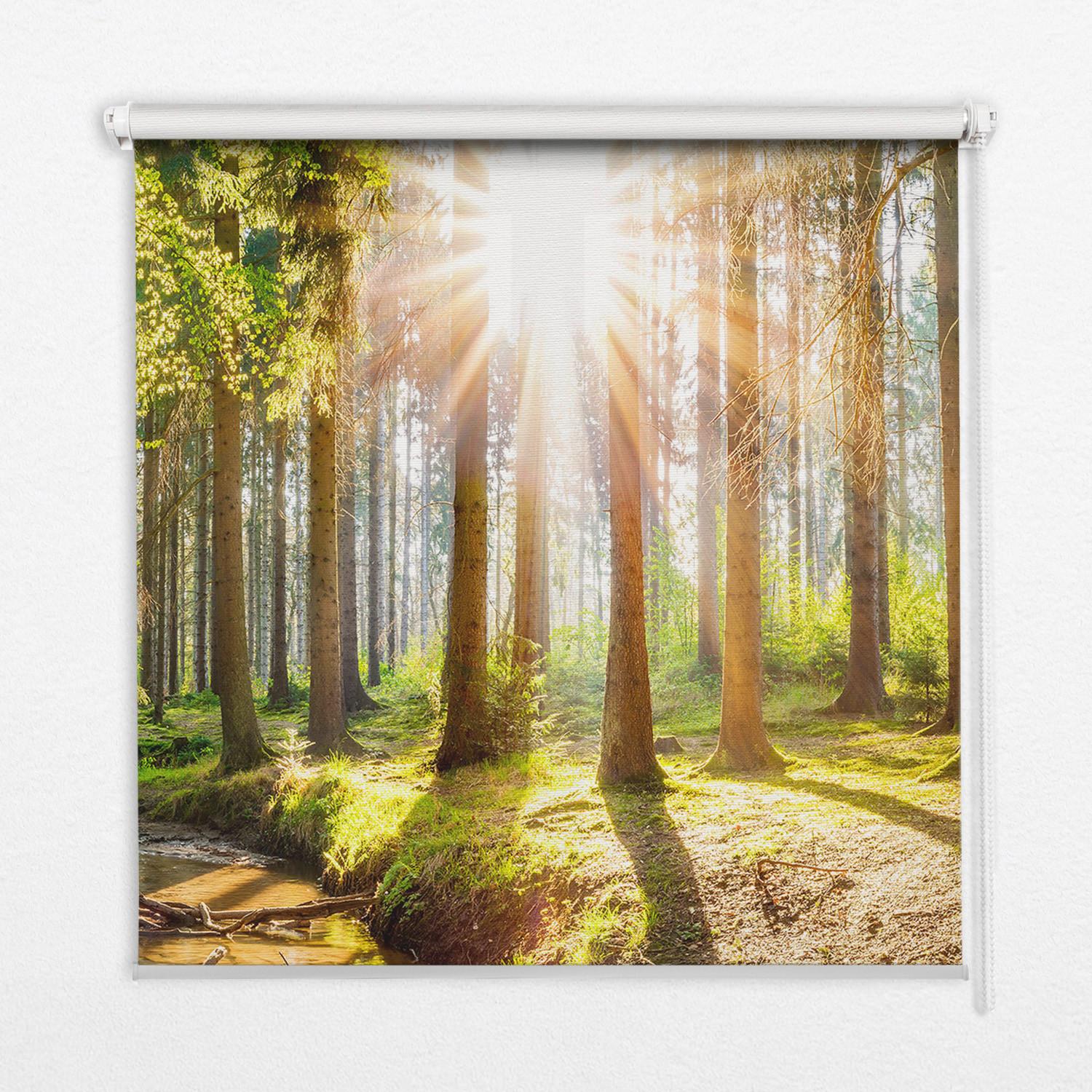 ROLLO LICHTDURCHLÄSSIG 110x180 cm Sonne im Wald - Braun, Textil (110/180cm) - TULUP