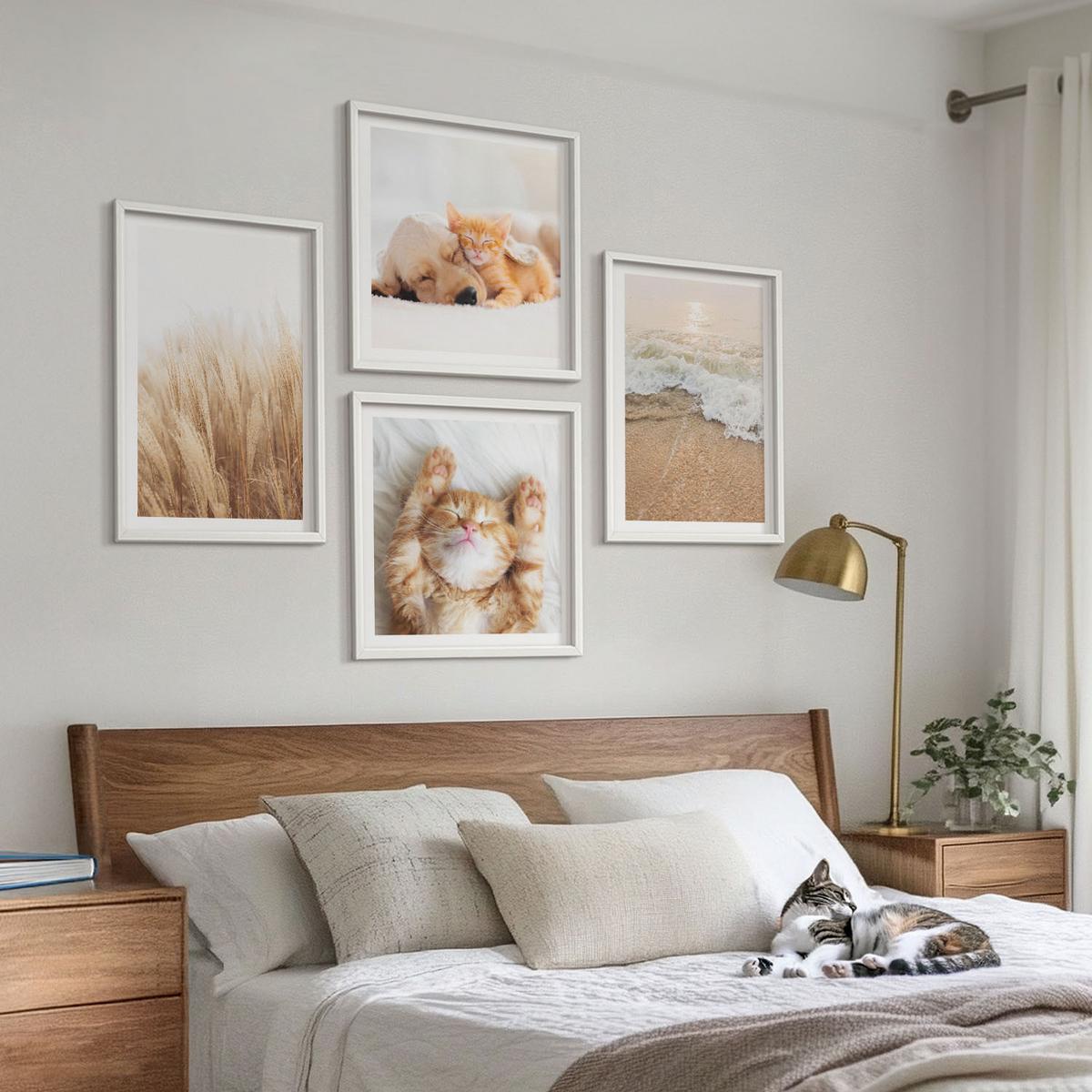 BILDER SET 4er Set - 50x50 cm & 40x60 cm Weißer Rahmen - Niedliche Tiere, Katzen, Hunde, Strand - Weiß, Kunststoff (50/50cm) - TULUP