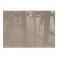 GLASPLATTE für Kamin 100x70 cm - Braun, Glas (100/70/0.4cm) - TULUP