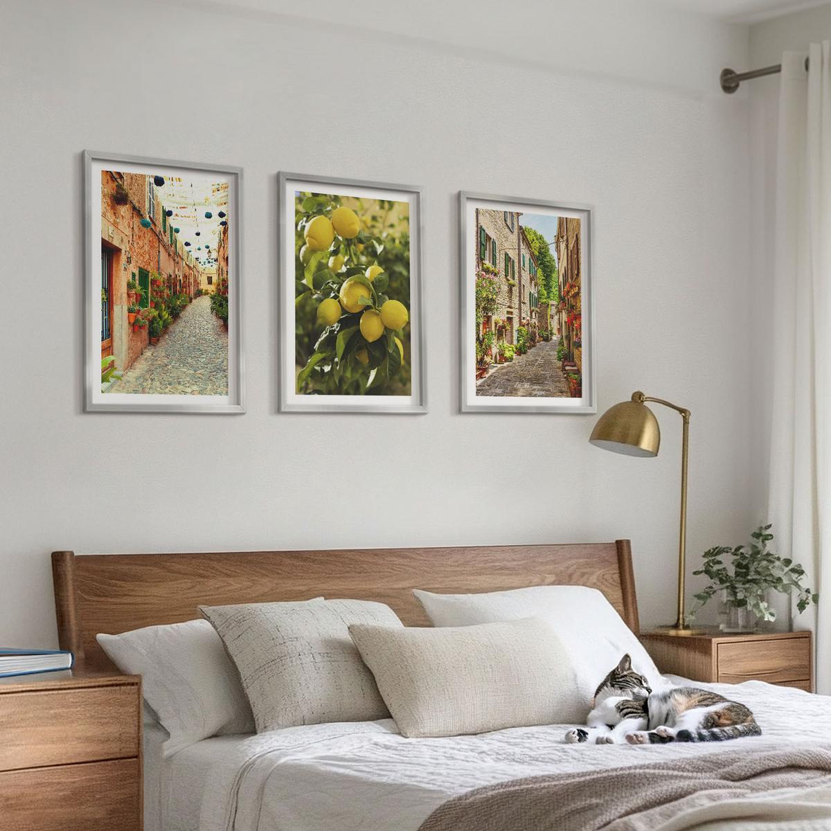 BILDER SET 3er Set - 40x60 cm Silberner Rahmen - Straßen mit Zitronenblüten im Hintergrund - Silberfarben, Kunststoff (40/60cm) - TULUP