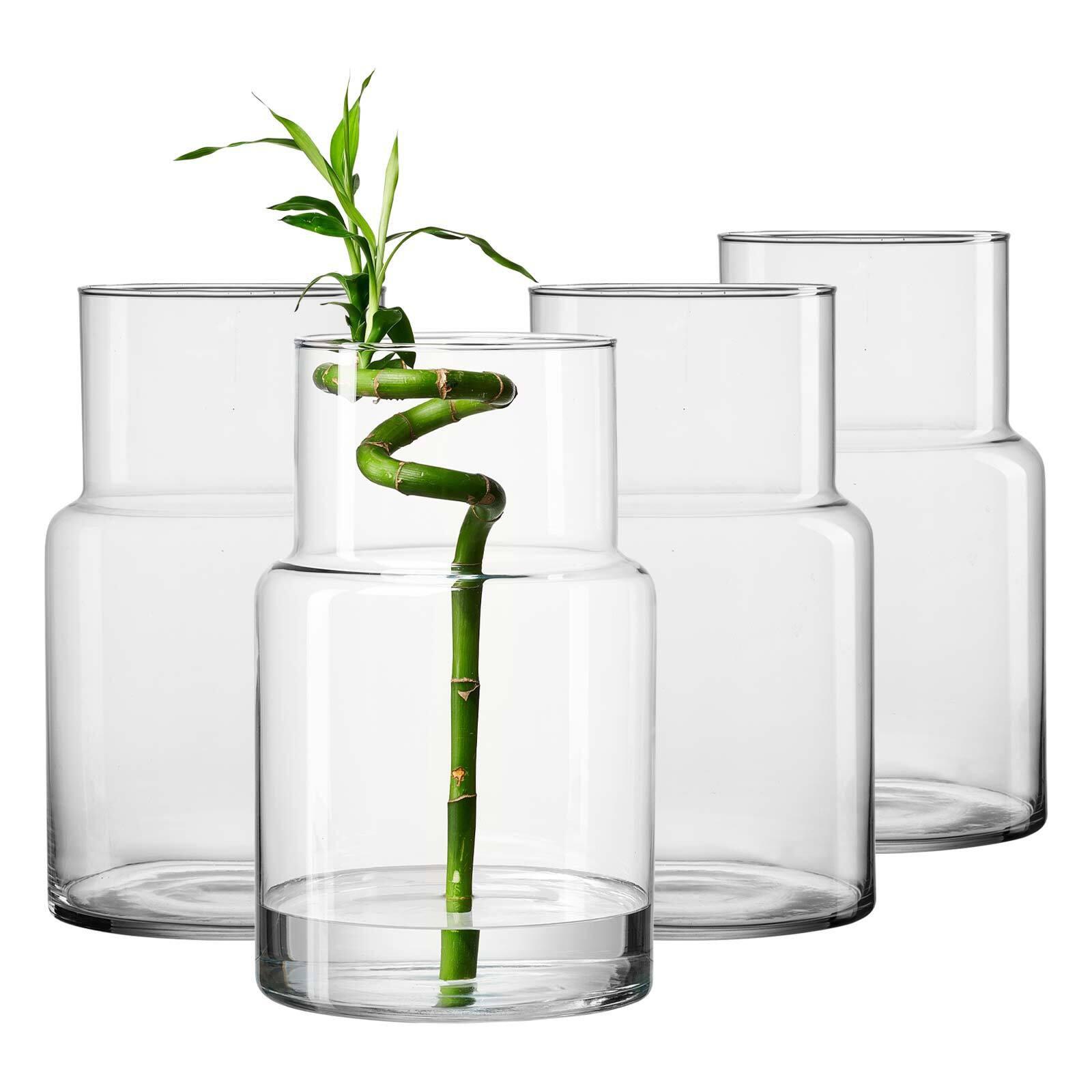 VASEN Lilli transparent 30 cm 4er Set - Transparent, Glas (18/30cm) - Ritzenhoff Breker