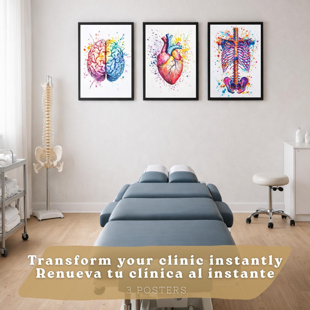 POSTER Set aus 3 Anatomie Mensch Drucke und Wandbilder mit Gehirn Herz Rippen Wirbelsäule Lebendiges Aquarell Design Größe Schwarzer Rahmen A4 - Schwarz, Papier (21/29.7/3cm) - Nacnic