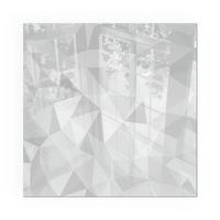 GLASPLATTE für Kamin 60x60 cm - Grau, Glas (60/60/0.4cm) - TULUP