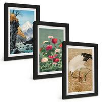 BILDER SET 3er Set - 20x30 cm Schwarzer Rahmen - Berglandschaft, Fluss, Blumen, Kraniche - Schwarz, Kunststoff (20/30cm) - TULUP