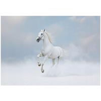 FOTOTAPETE Pferde Tiere Wohnzimmer Vlies Tapete 150x105 - Multicolor, Papier (150/105cm) - Wallarena