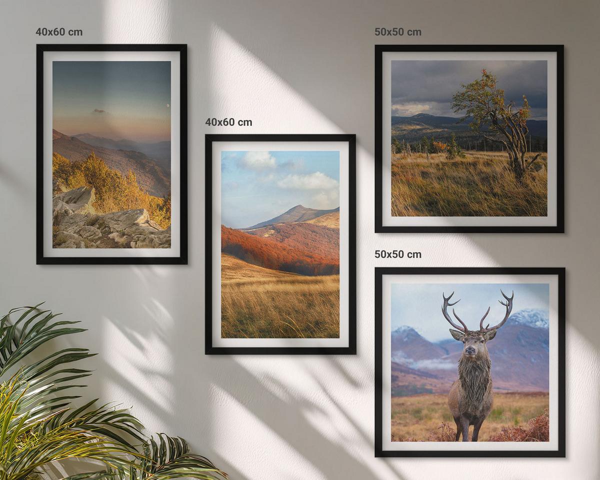 BILDER SET 4er Set - 50x50 cm & 40x60 cm Schwarzer Rahmen - Berglandschaften, Hirschgras - Schwarz, Kunststoff (50/50cm) - TULUP