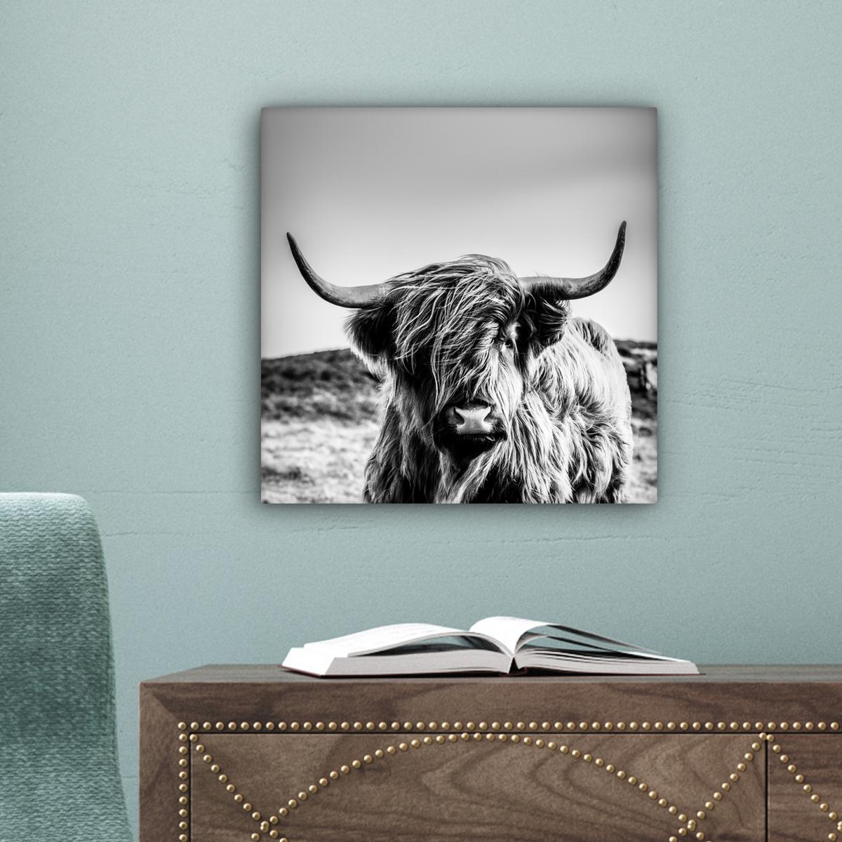 LEINWANDBILD Kuh - Schottischer Hochländer - Schwarz - Weiß - Tier - Natur - Wildtiere Deko Wohnzimmer 20x20 cm - Schwarz, Textil (20/20cm) - MuchoWow
