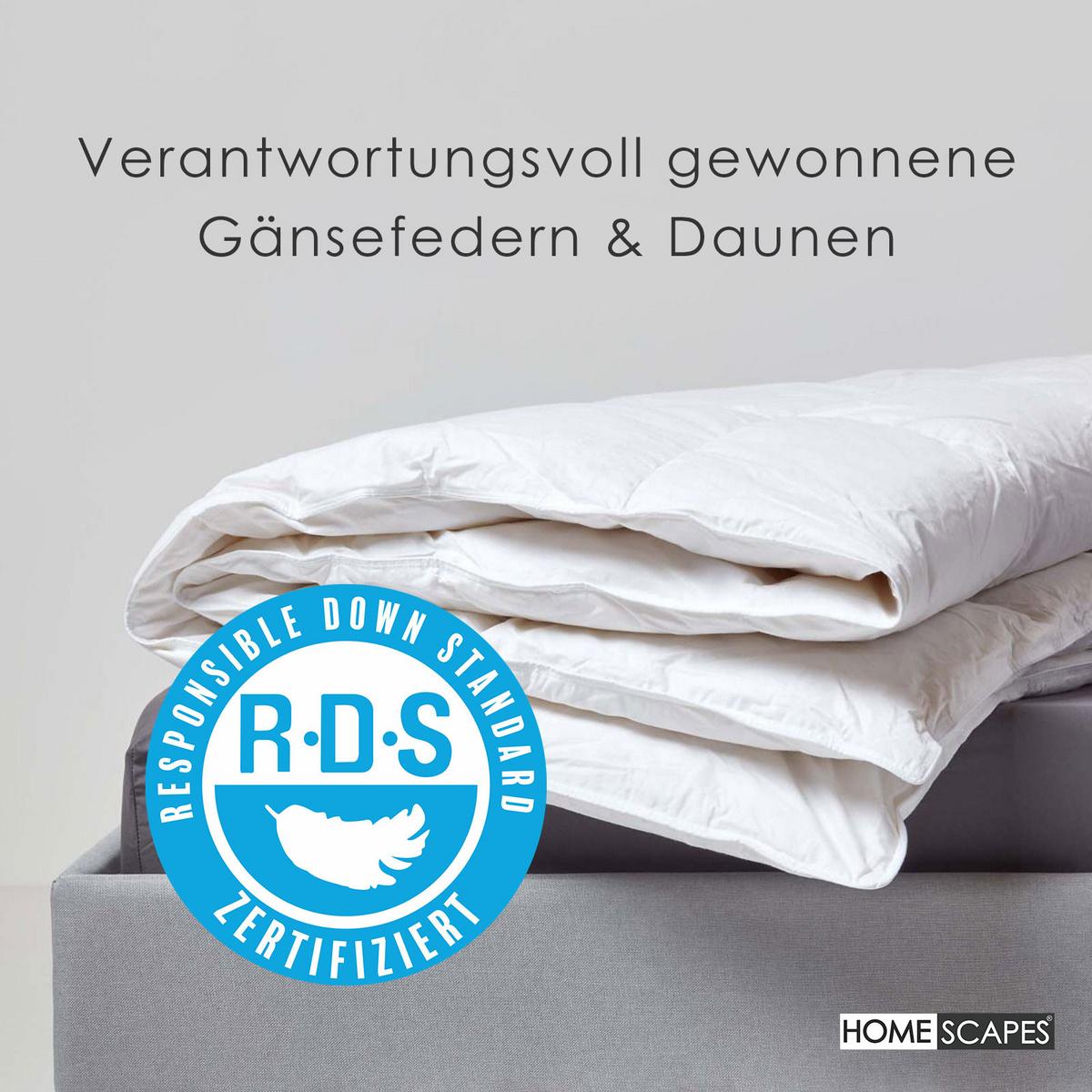 4-JAHRESZEITEN-BETTDECKE 135/200 cm, Gänsefedern & Daunen - Weiß, Textil (135/200cm) - Homescapes