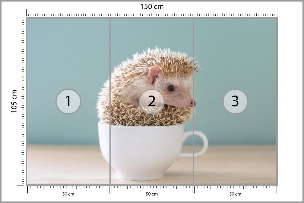 FOTOTAPETE für Esszimmer Igel Weiße Tasse Süß Tier 150x105 - Beige/Weiß, Papier (150/105cm) - Muralo