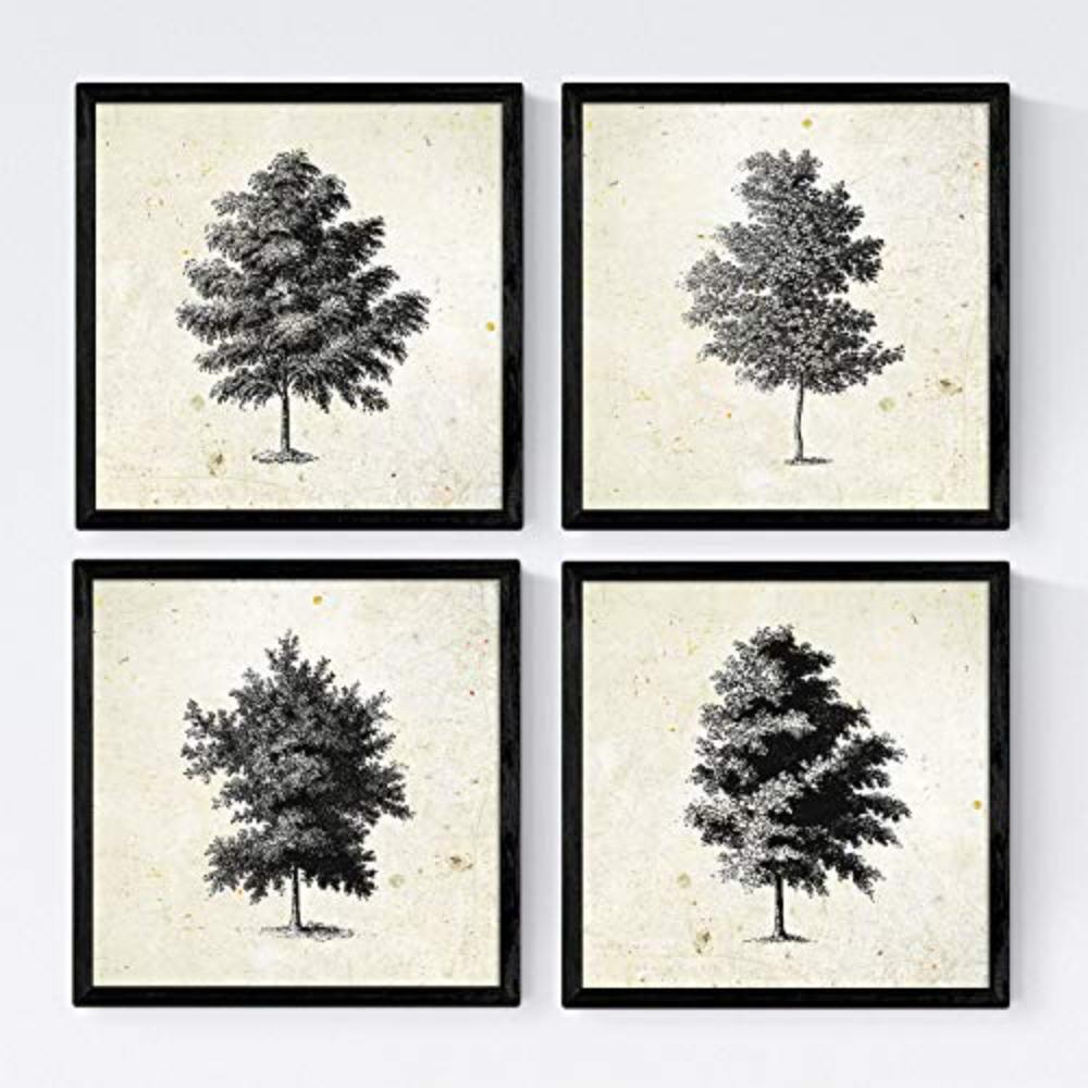 POSTER Set mit 4 Blättern der dünne Kruste 30x30 cm Schwarzer Rahmen - Schwarz, Papier (30/3cm) - Nacnic