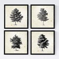 POSTER Set mit 4 Blättern der dünne Kruste 30x30 cm Schwarzer Rahmen - Schwarz, Papier (30/3cm) - Nacnic