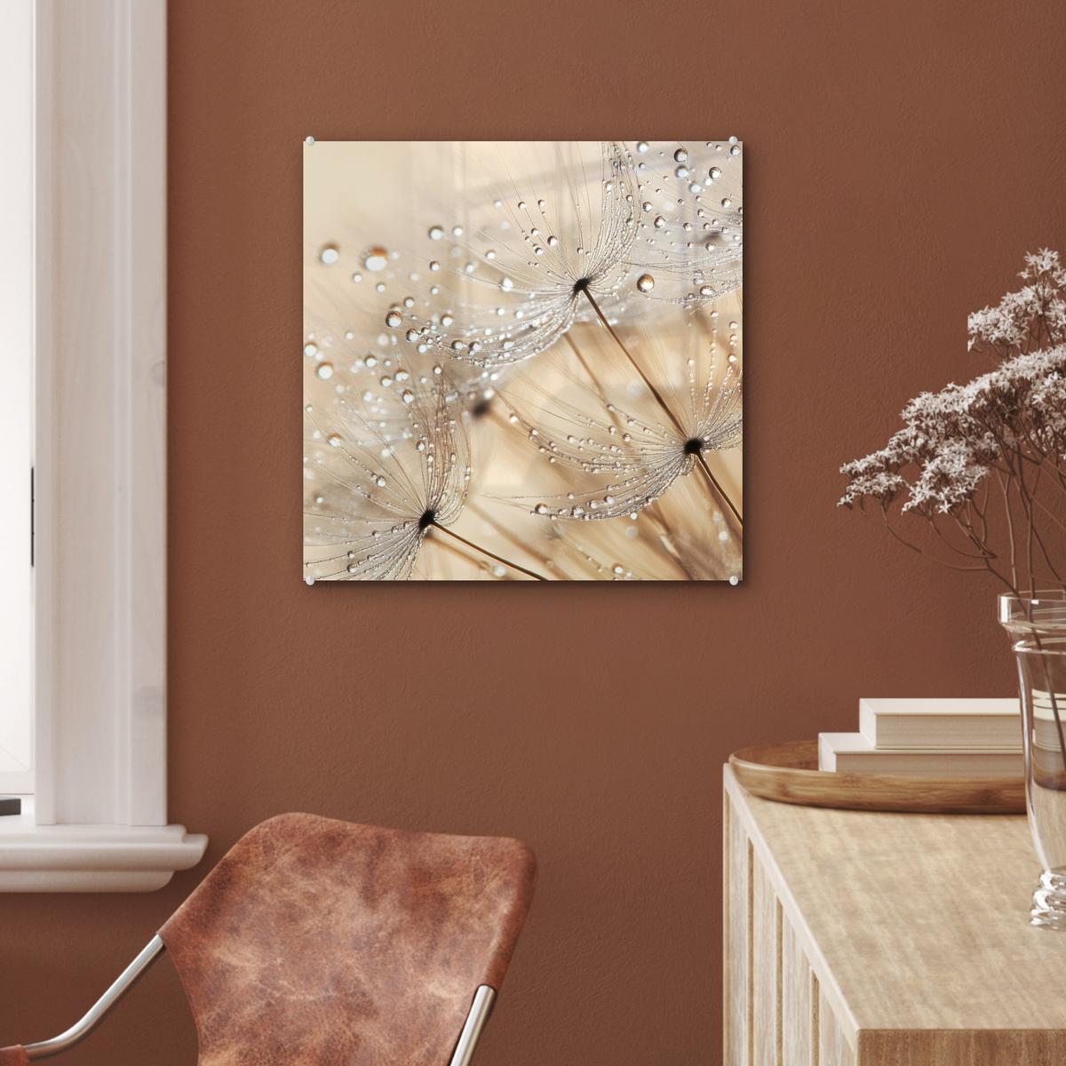 ACRYLGLASBILD Löwenzahn - Abstrakt - Natur - Beige 50x50 cm - Braun, Glas (50/50cm) - MuchoWow