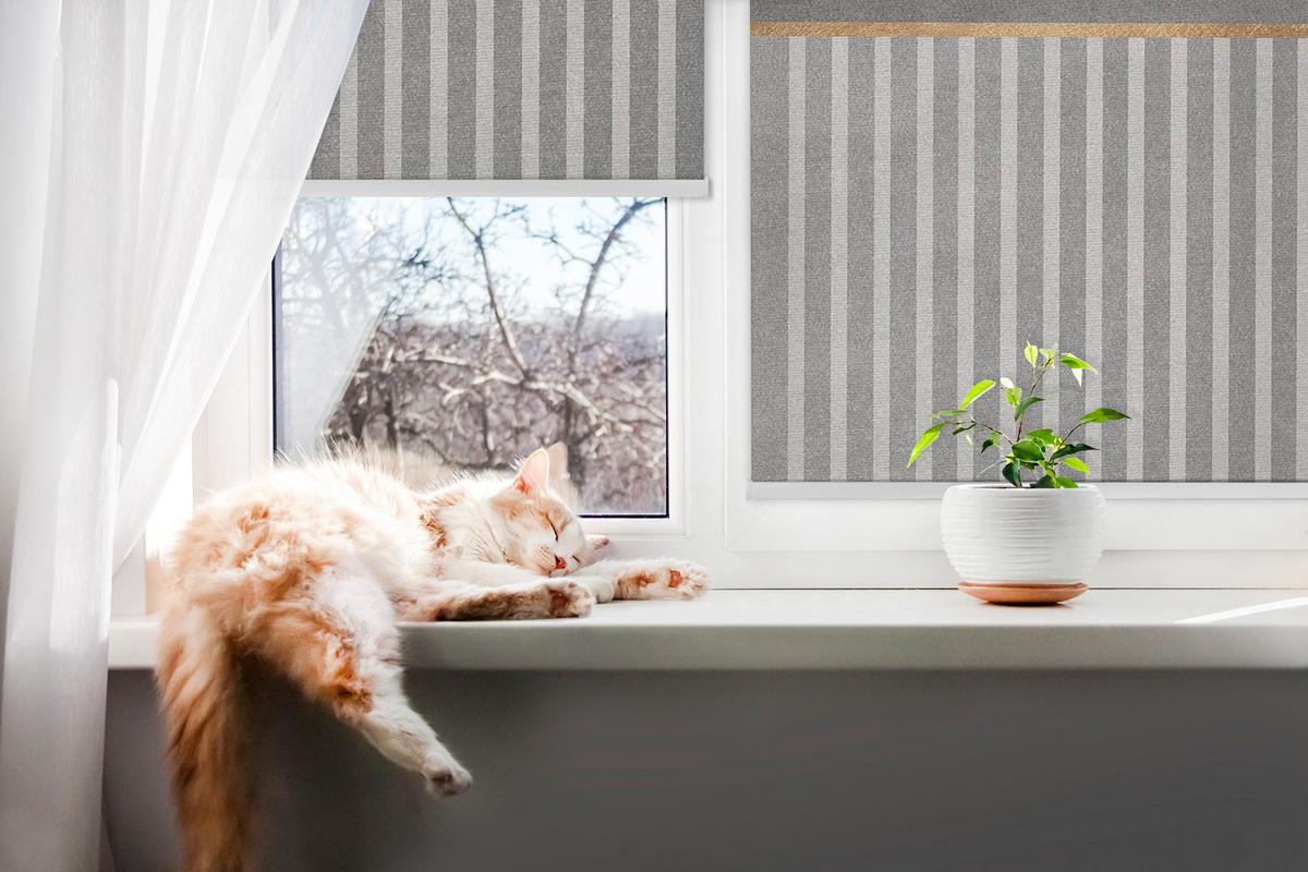 INNENROLLO - Fensterrollo - Rollo - 150x180 cm - Zufallszahlen - Grau, Kunststoff (150/180/0.5cm) - TULUP