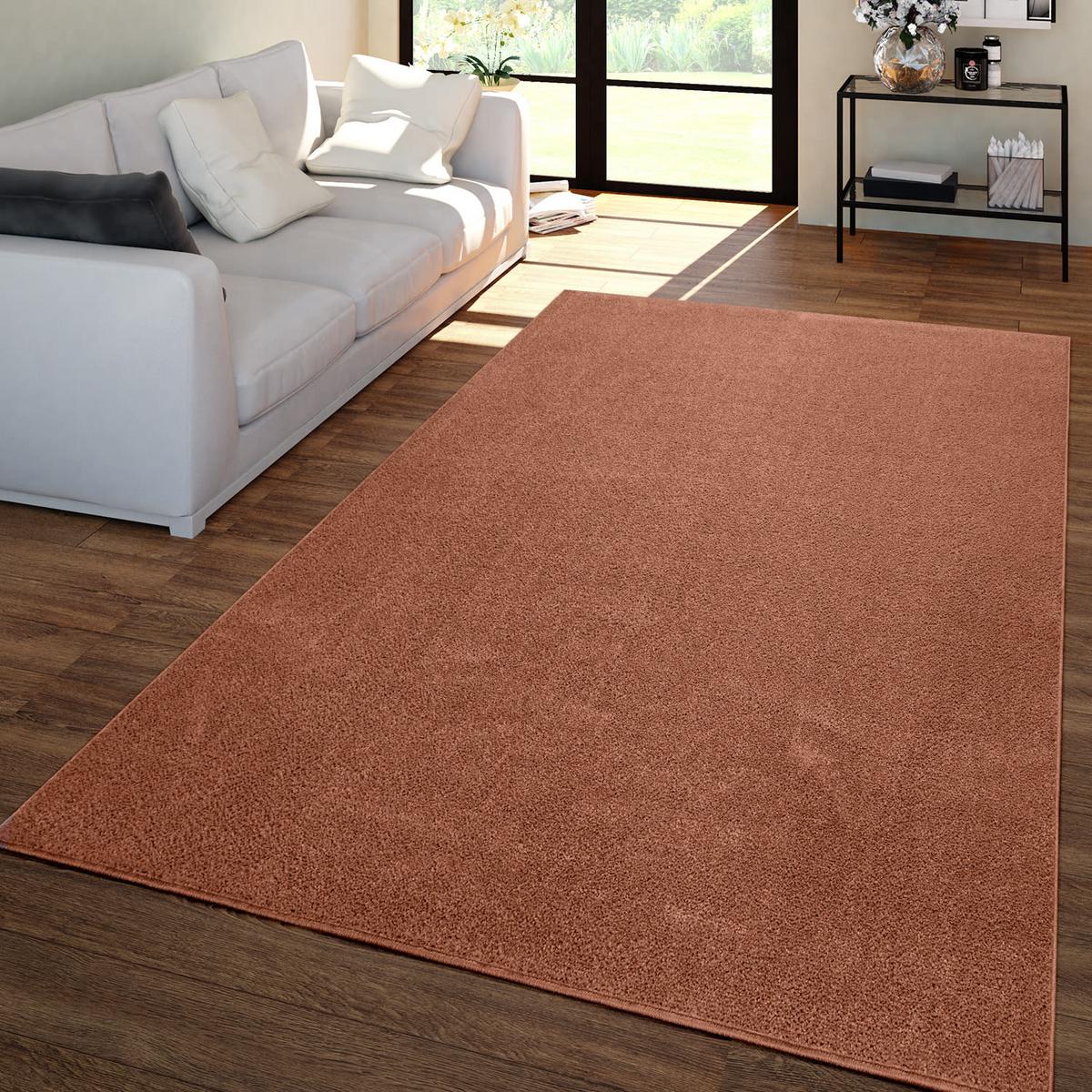 FLACHWEBETEPPICH Braun 120 x 170 cm - Braun, Kunststoff (120/170cm) - TT Home
