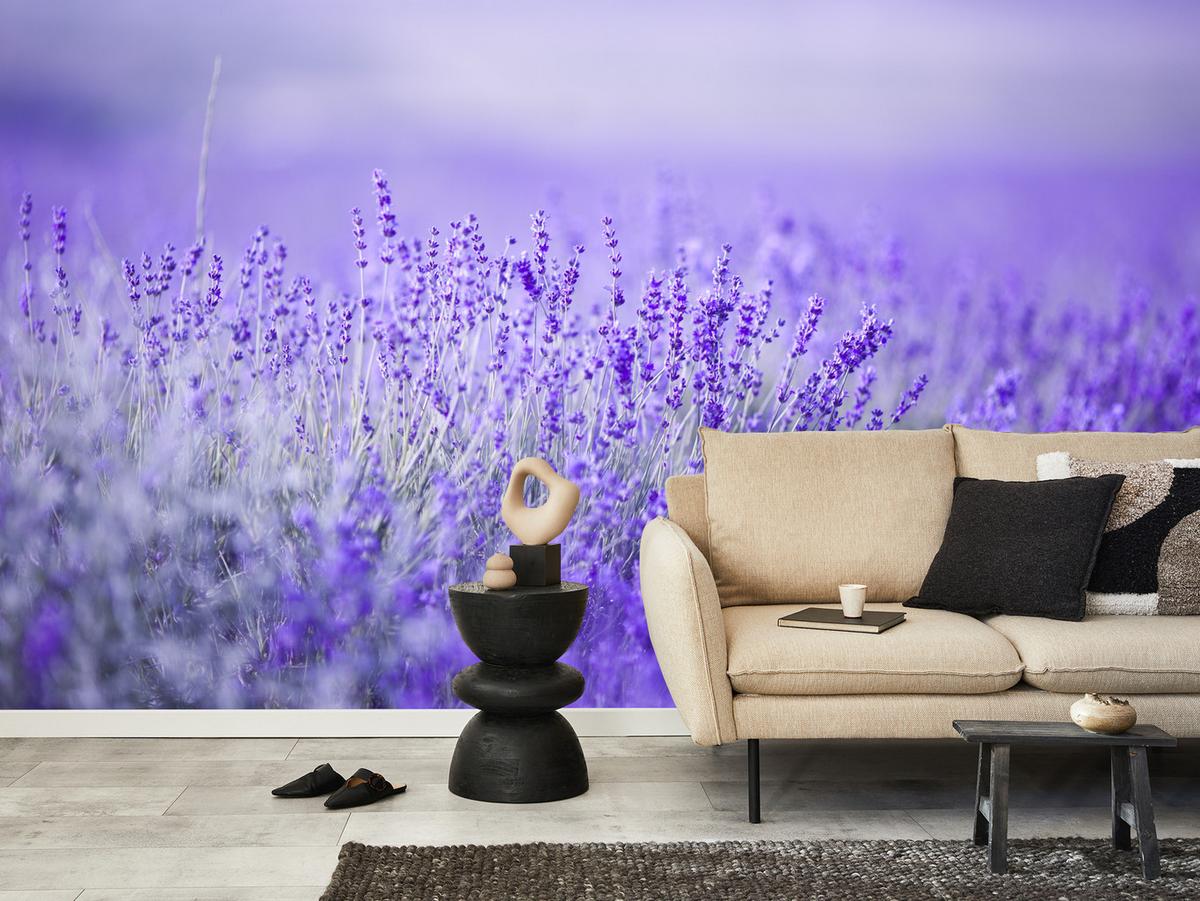 FOTOTAPETE für Küche Lavendelwiese Blüten Fliederfeld 100x70 - Violett/Lila, Papier (100/70cm) - Muralo