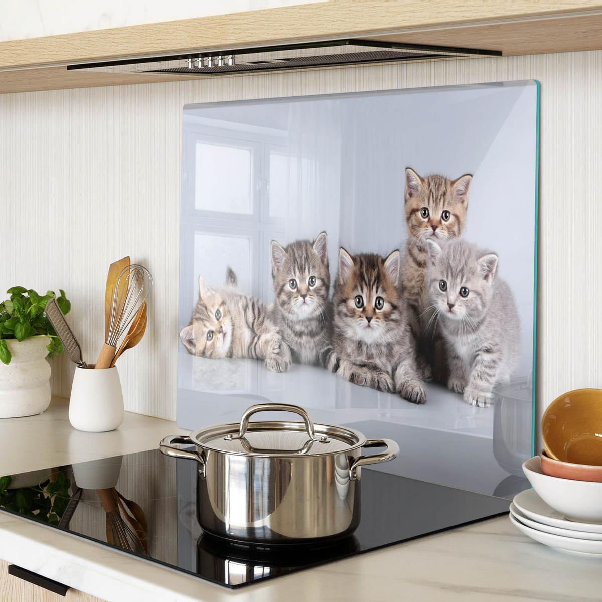 GLASPLATTE 60x52 cm Fünf Katzen - Grau/Grün, Glas (60/52cm) - TULUP