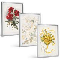 BILDER SET 3er Set - 40x60 cm Silberner Rahmen - Rosen rot-weiße Form - Silberfarben, Kunststoff (40/60cm) - TULUP