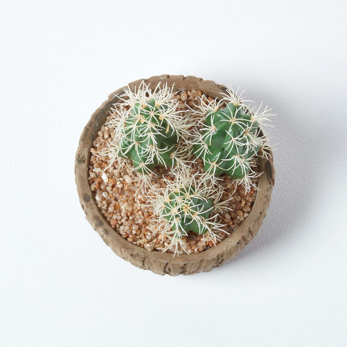 KUNSTPFLANZEN Kakteen in Holzoptik-Schale, 15 cm - Grün, Kunststoff (15cm) - Homescapes