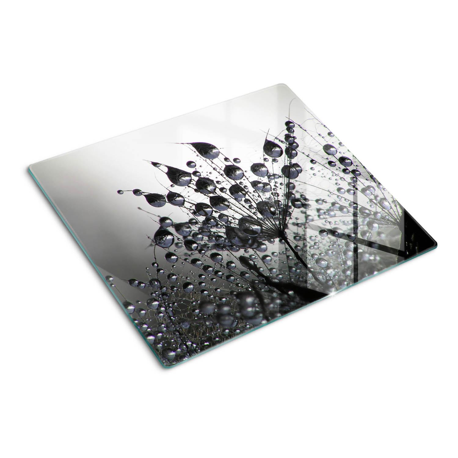 GLASPLATTE 60x52 cm Löwenzahn - Schwarz, Glas (60/0.4/52cm) - TULUP