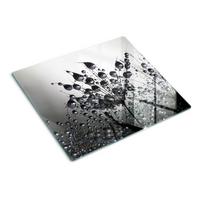 GLASPLATTE 60x52 cm Löwenzahn - Schwarz, Glas (60/0.4/52cm) - TULUP