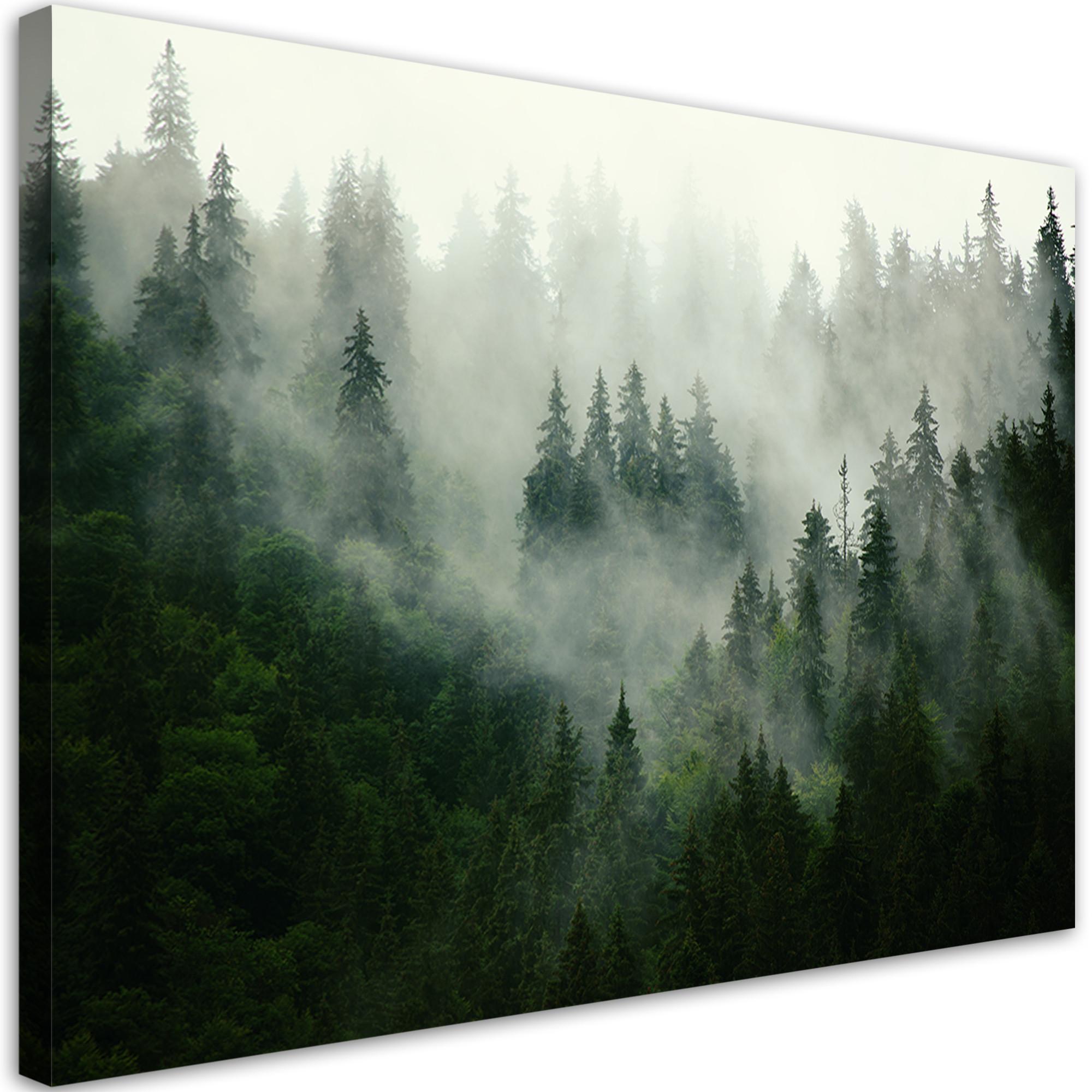 BILD Wald im Nebel 120x80cm - Grün, Textil (120/80cm) - Feeby