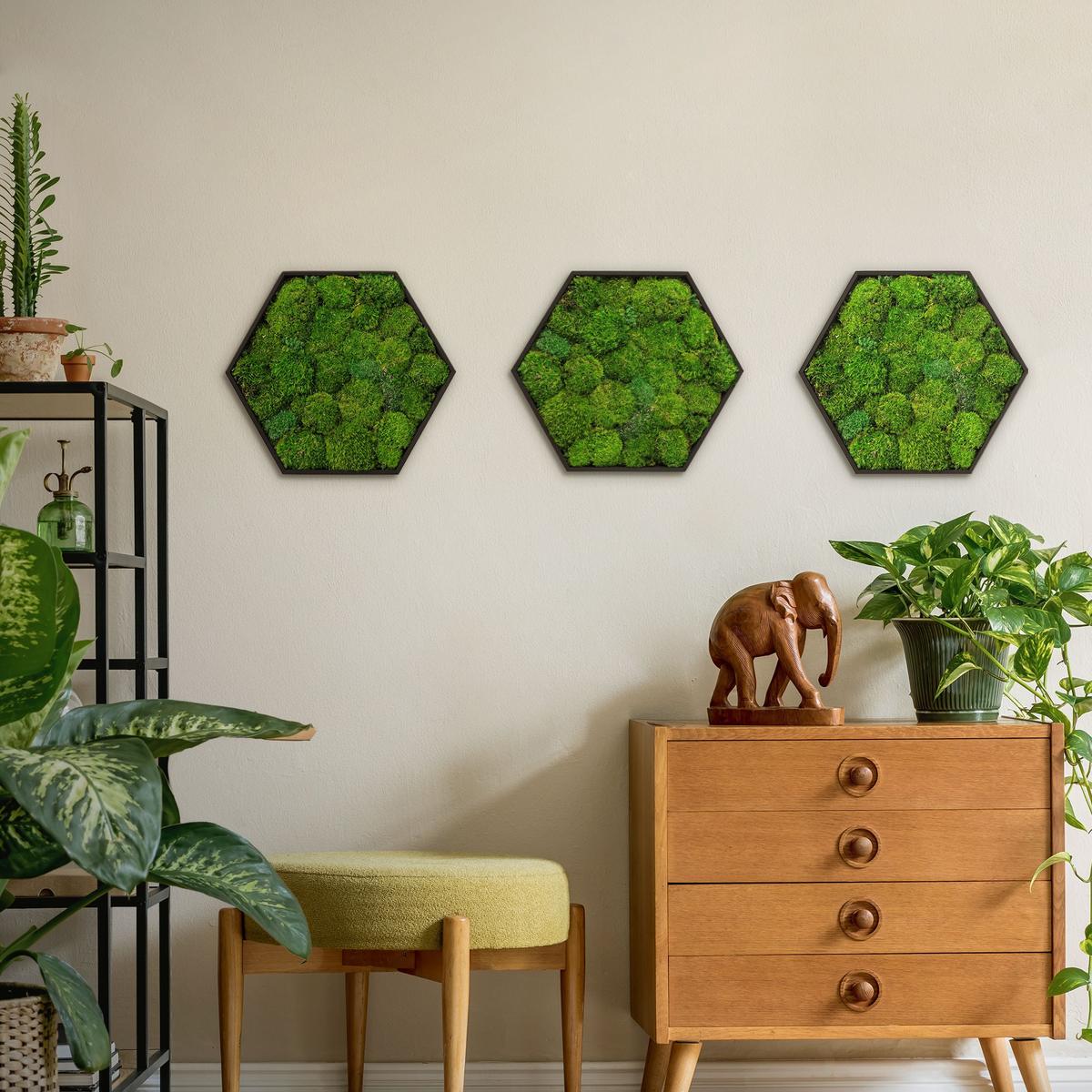 MOOSBILD Hexagon 38x34 cm Mooswand Indoor mit echtem Kugelmoos und Holzrahmen Grün Pflegefrei - Grün, Naturmaterialien (38/34/3.4cm) - ECD-Germany
