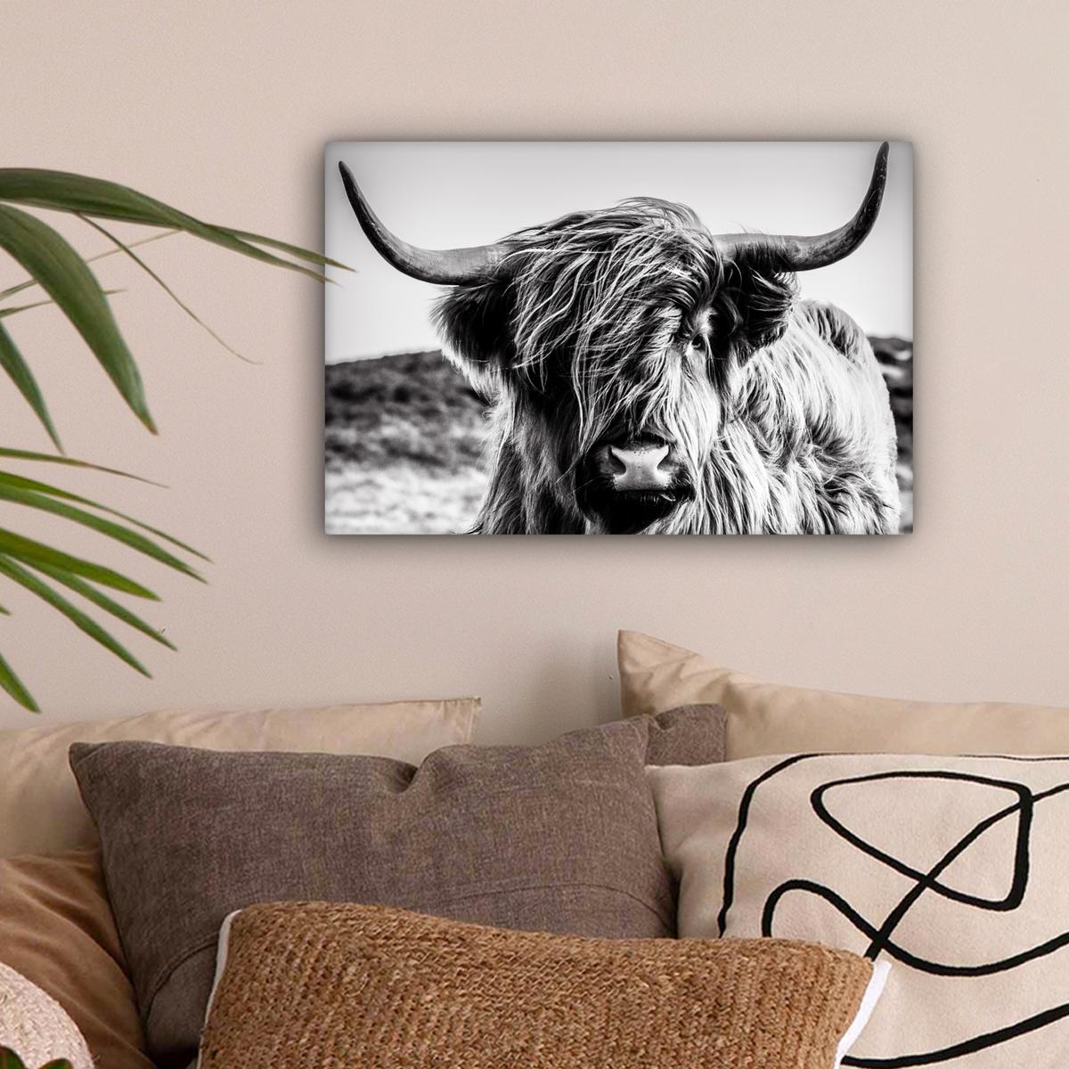 LEINWANDBILD Kuh - Schottischer Hochländer - Schwarz - Weiß - Tier - Natur - Wildtiere Deko Schlafzimmer 30x20 cm - Schwarz, Textil (30/20cm) - MuchoWow