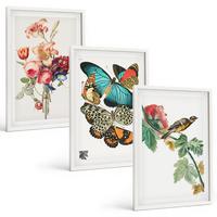 BILDER SET 3er Set - 40x60 cm Weißer Rahmen - Blumen, Schmetterlinge, Vögel, Pastellfarben - Weiß, Kunststoff (40/60cm) - TULUP
