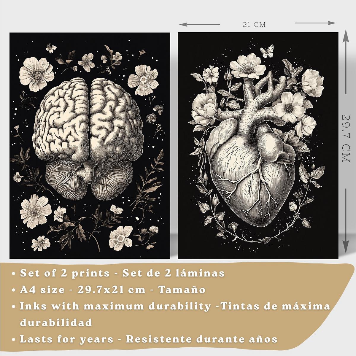 POSTER Set aus 2 Anatomie Mensch Drucke und mit Gehirn und Herz Monochromes Florales Design Schwarzer Hintergrund Größe Leichter Holzrahmen A4 - Beige, Papier (21/29.7/3cm) - Nacnic