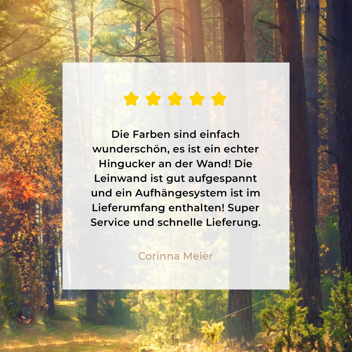 LEINWANDBILD Wald - Herbst - Bäume Wandbild 40x30 cm - Dunkelgrün, Textil (40/30cm) - MuchoWow