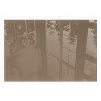 GLASPLATTE für Kamin 60x40 cm - Braun, Glas (60/40/0.4cm) - TULUP