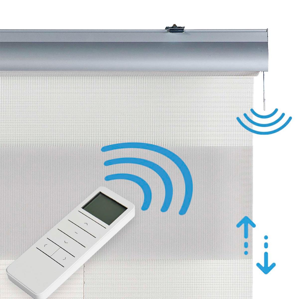 DOPPELROLLO Motorisiertes Grau 100x250 cm - Grau, Kunststoff (100/250cm) - STORESDECO