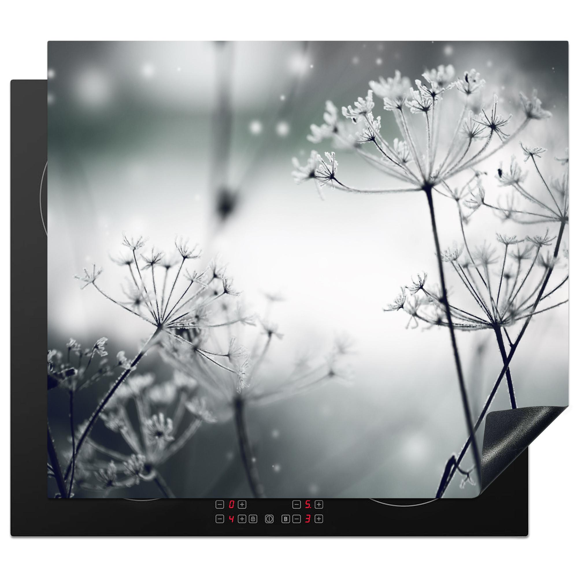 HERDABDECKPLATTE Blumen - Winter - Schnee - Natur Ceranfeldabdeckung 59x52 cm - Grau, Kunststoff (59/52/0.2cm) - MuchoWow