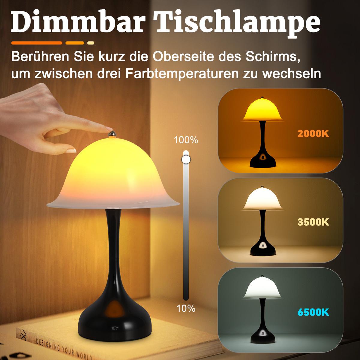 LED TISCHLAMPE Luminor 16/9/24.5 cm - Schwarz, Kunststoff (16/9/24.5cm) - ZMH
