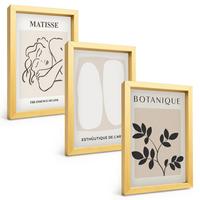 BILDER SET 3er Set - 20x30 cm Goldrahmen - Matisses stilvolle Pflanzenbilder - Goldfarben, Kunststoff (20/30cm) - TULUP