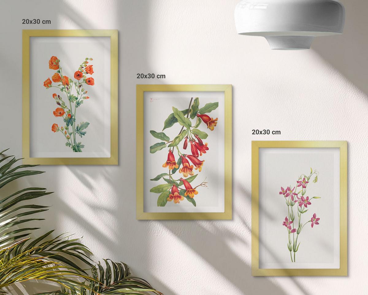 BILDER SET 3er Set - 20x30 cm Goldrahmen - Vintage-Retro-Blumenmalerei - Goldfarben, Kunststoff (20/30cm) - TULUP