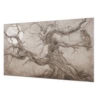 FOTOTAPETE 416x254 cm - Nachtvögel - Beige, Textil (416/254cm) - Wallfluent