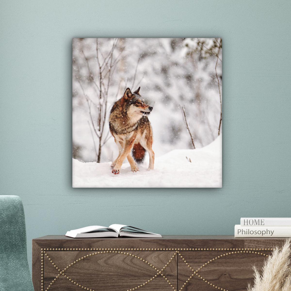 LEINWANDBILD Wolf - Winter - Schnee - Natur - Tiere Wandbild Wohnzimmer 50x50 cm - Haselnussfarben, Textil (50/50cm) - MuchoWow