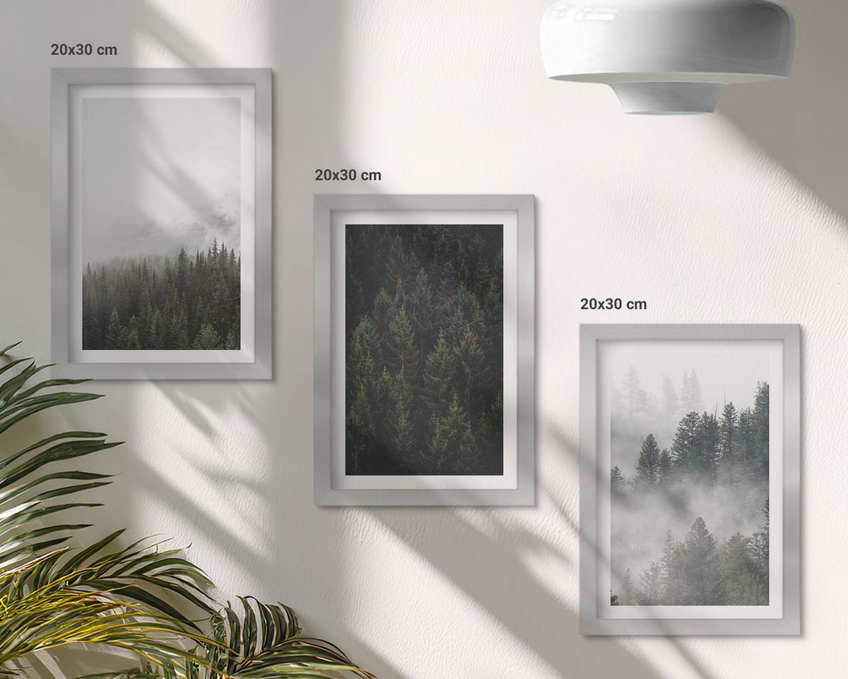 BILDER SET 3er Set - 20x30 cm Silberner Rahmen - Grüne Wälder Nebel Natur - Silberfarben, Kunststoff (20/30cm) - TULUP