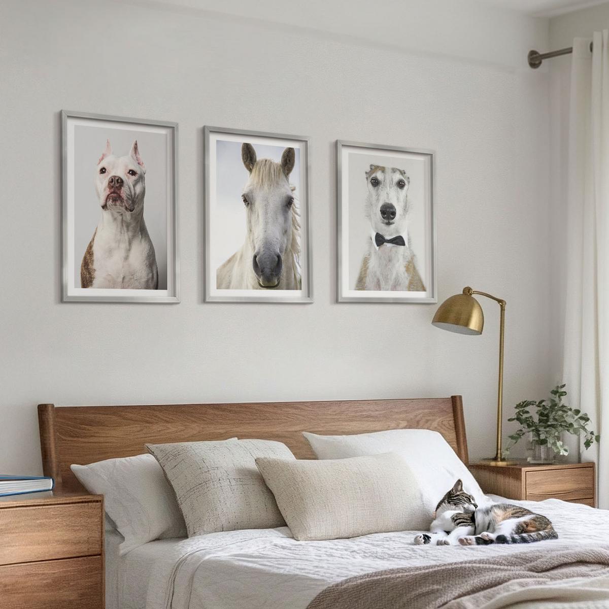 BILDER SET 3er Set - 40x60 cm Silberner Rahmen - Elegante Porträts von Hunden und Pferden - Silberfarben, Kunststoff (40/60cm) - TULUP