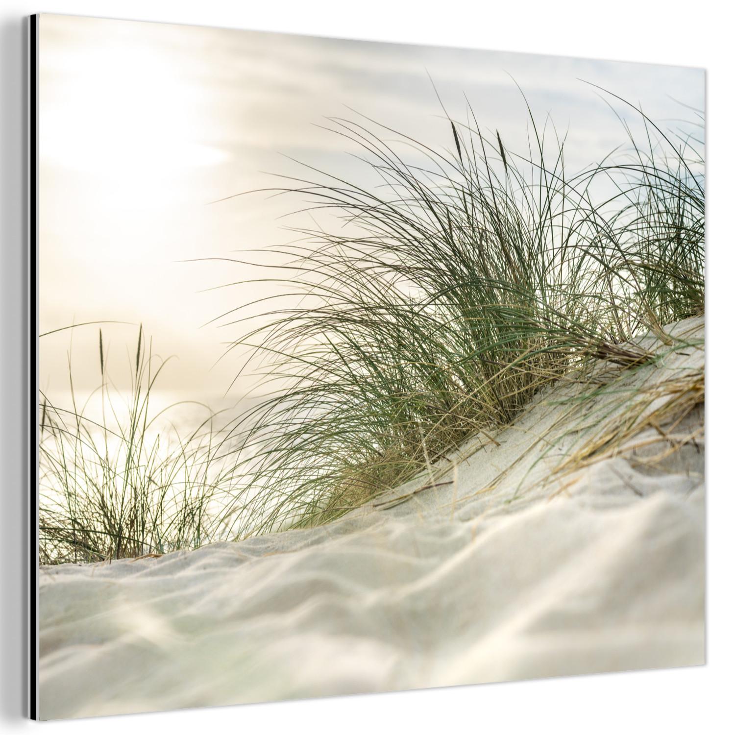 METALLBILD Dünen mit Strandhafer in der Sonne des Nationalparks Schleswig-Holsteinisches Wattenmeer 80x60 cm - Creme, Metall (80/60cm) - MuchoWow