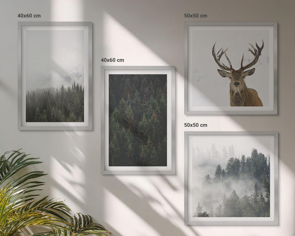 BILDER SET 4er Set - 50x50 cm & 40x60 cm Silberner Rahmen - Grüne Wälder, neblige Landschaft - Silberfarben, Kunststoff (50/50cm) - TULUP