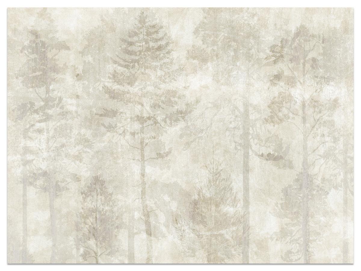 FOTOTAPETE für Wohnzimmer Boho Wald Bäume Beton Abstrakt Vintage Beige 250x175 - Beige/Braun, Papier (250/175cm) - Muralo