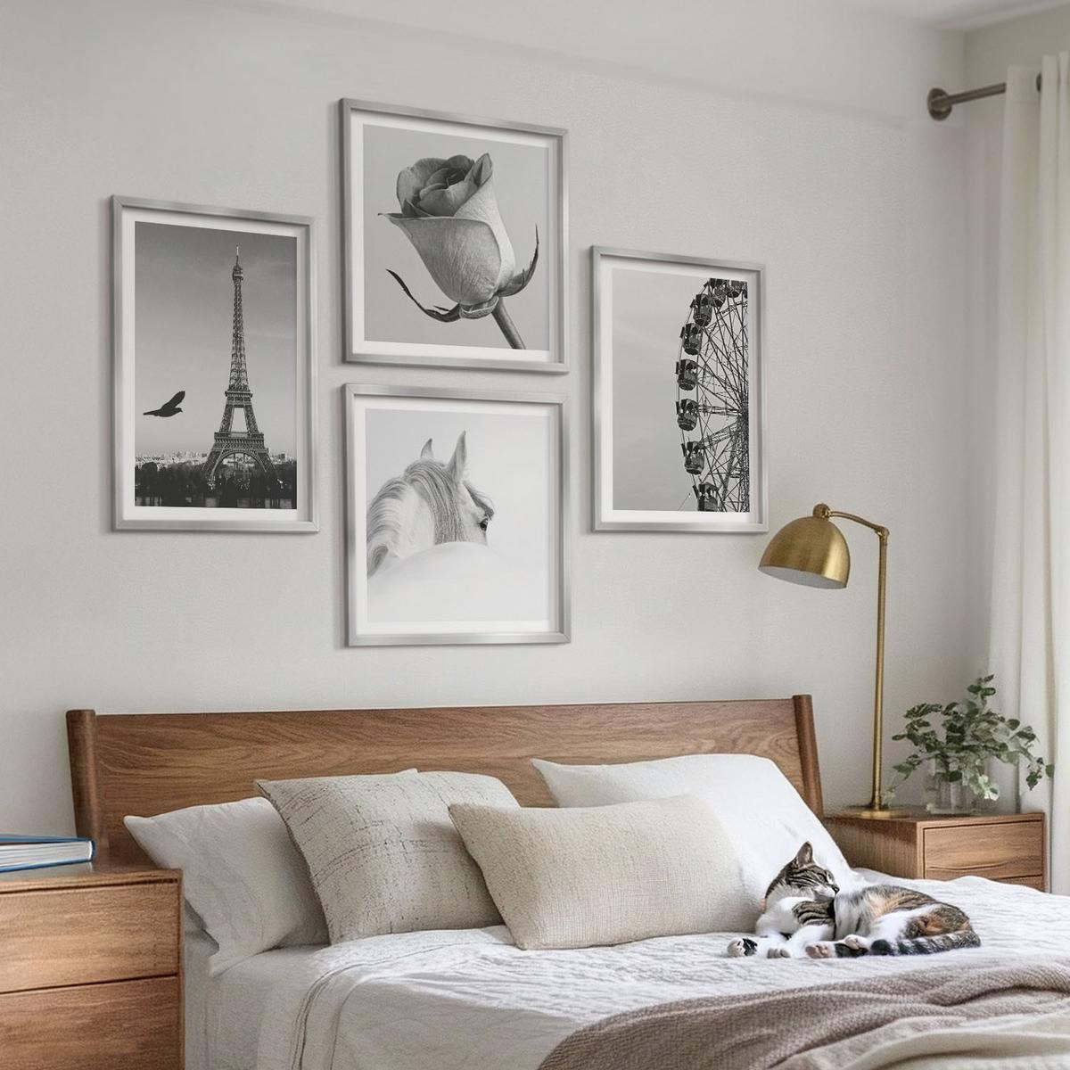 BILDER SET 4er Set - 50x50 cm & 40x60 cm Silberner Rahmen - Rose Eiffelturm Pferd Riesenrad S/W - Silberfarben, Kunststoff (50/50cm) - TULUP