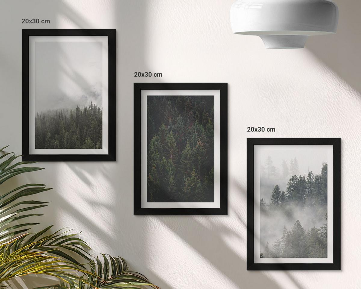 BILDER SET 3er Set - 20x30 cm Schwarzer Rahmen - Grüne Wälder Nebel Natur - Schwarz, Kunststoff (20/30cm) - TULUP